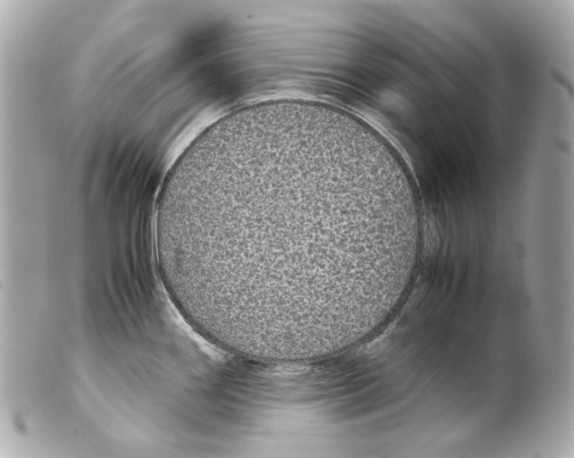 X0000099311290200805301146