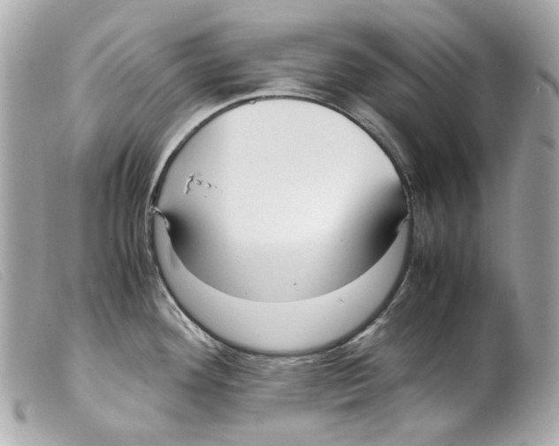 X0000099311292200805301146