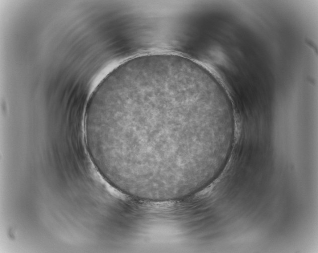 X0000099311294200805301146