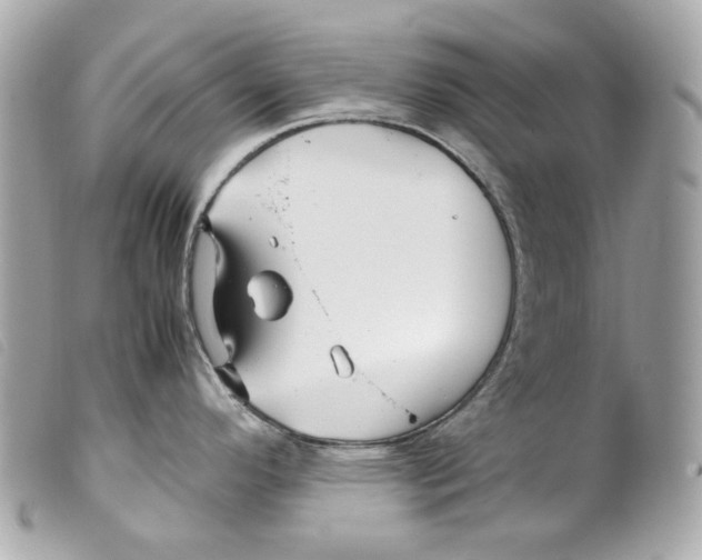 X0000099311296200805301146