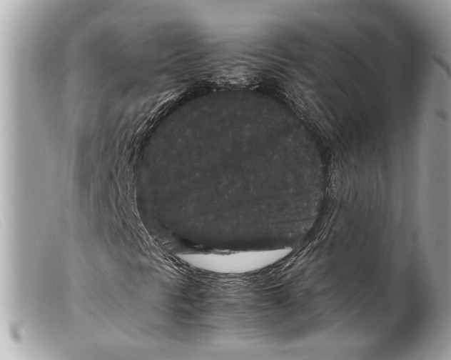 X0000099311297200805301145