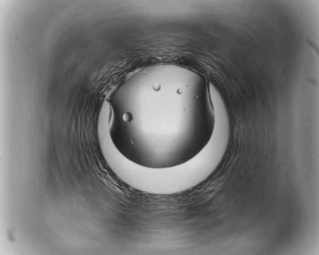 X0000099311298200805301145