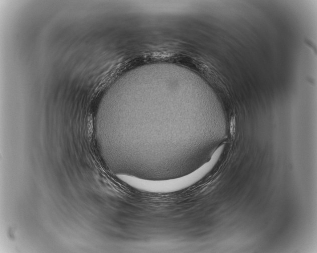 X0000099311299200805301146