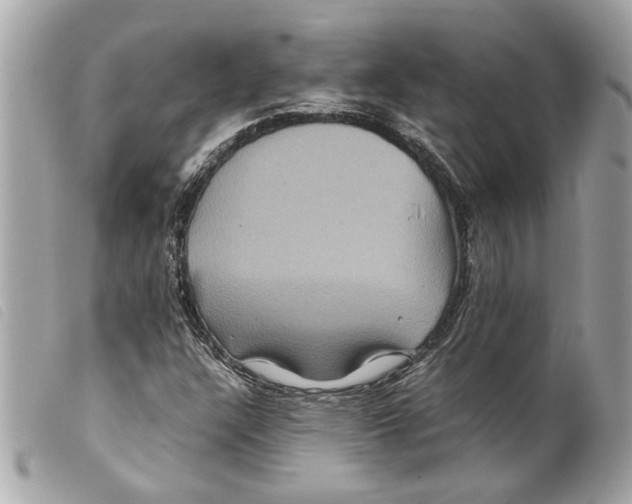 X0000099311304200805301146