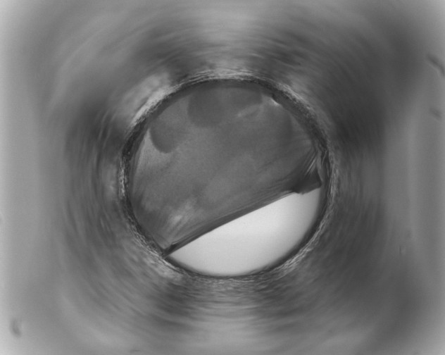 X0000099311306200805301146