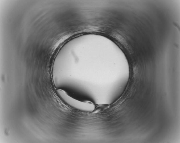 X0000099311308200805301146