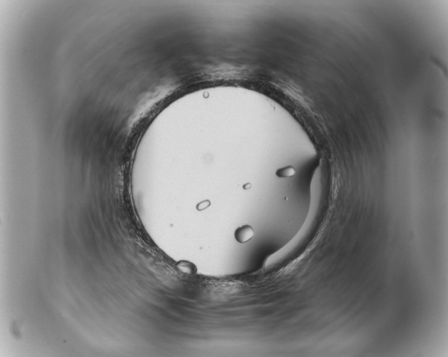 X0000099311309200805301146