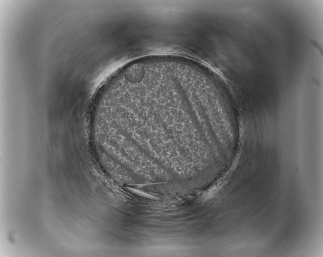 X0000099311311200805301146