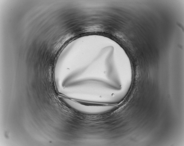 X0000099311313200805301146