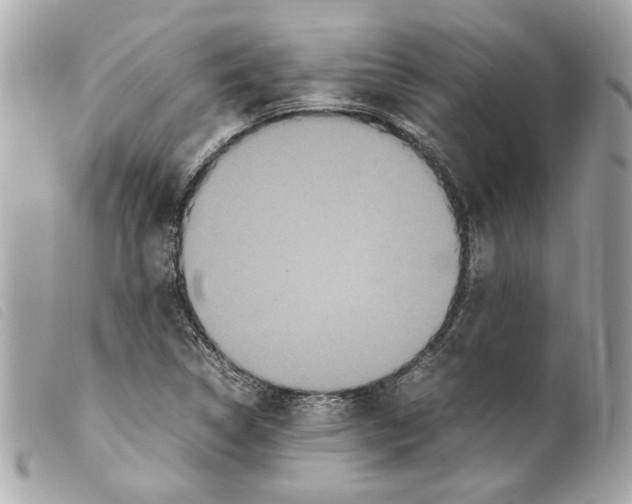 X0000099311314200805301146