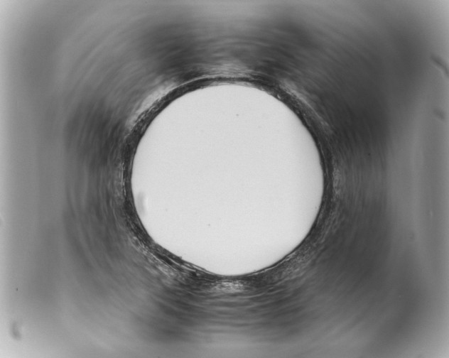 X0000099311315200805301146