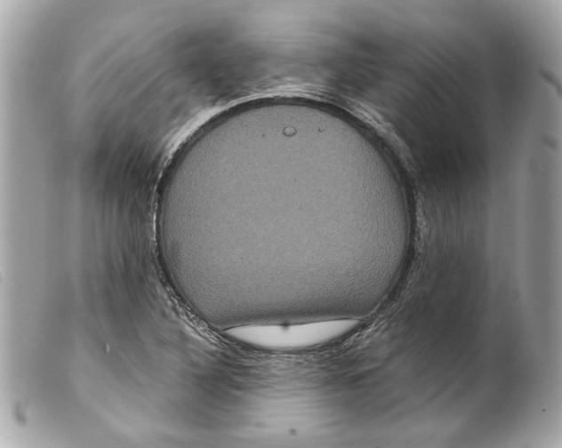 X0000099311316200805301146