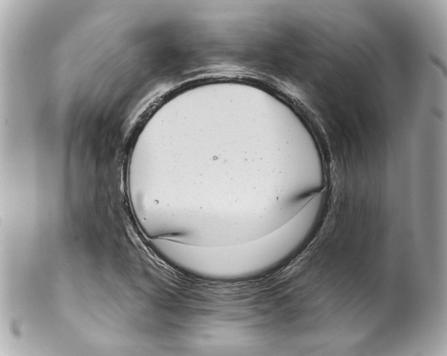 X0000099311318200805301146