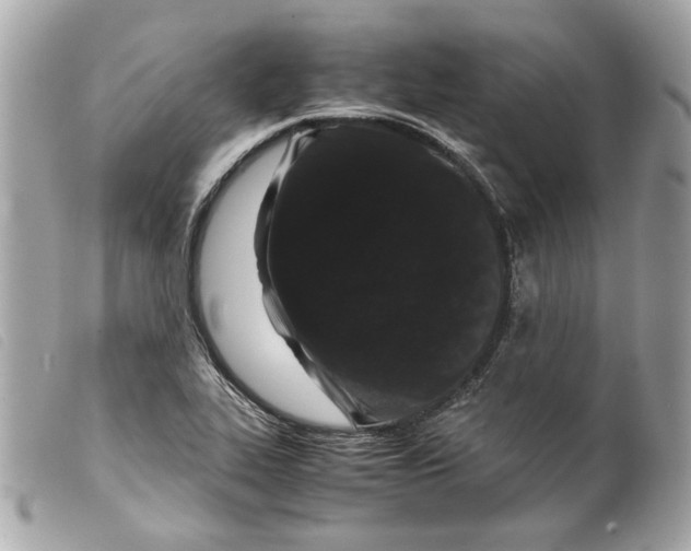 X0000099311319200805301146