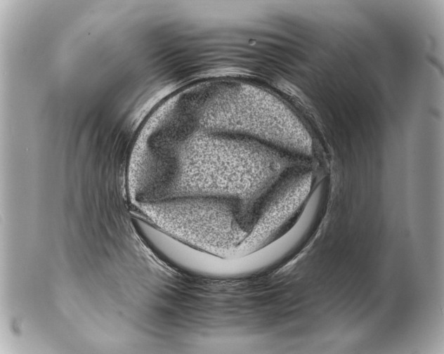 X0000099311321200805301146