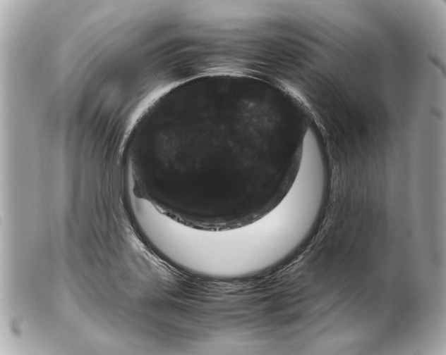 X0000099311323200805301146