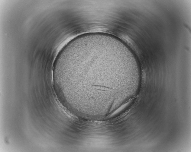 X0000099311324200805301146