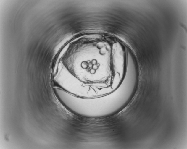 X0000099311325200805301146