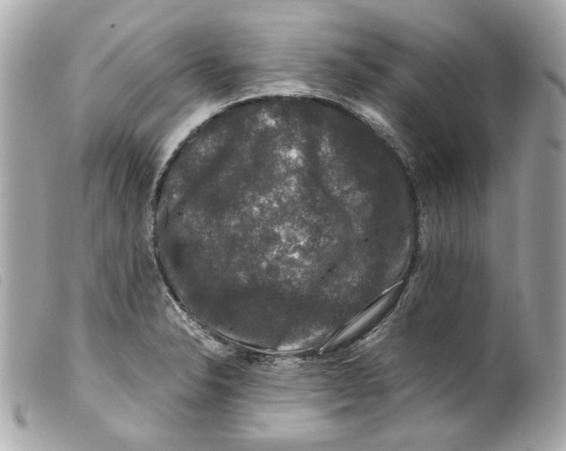 X0000099311326200805301146