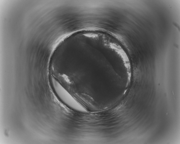 X0000099311327200805301146