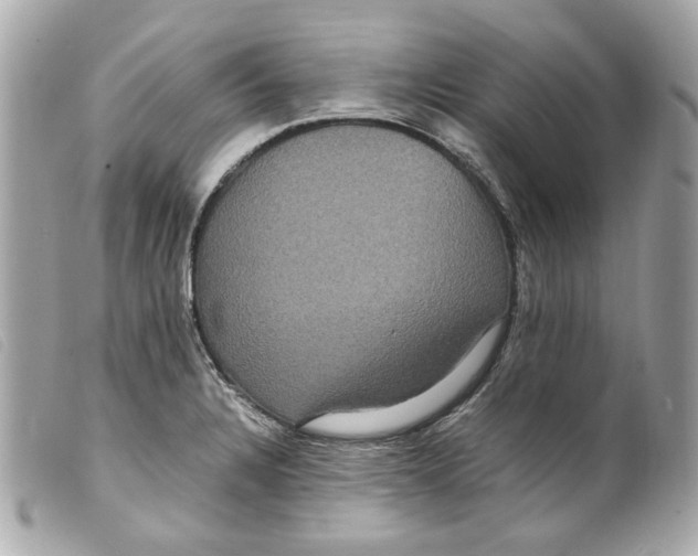 X0000099311328200805301146