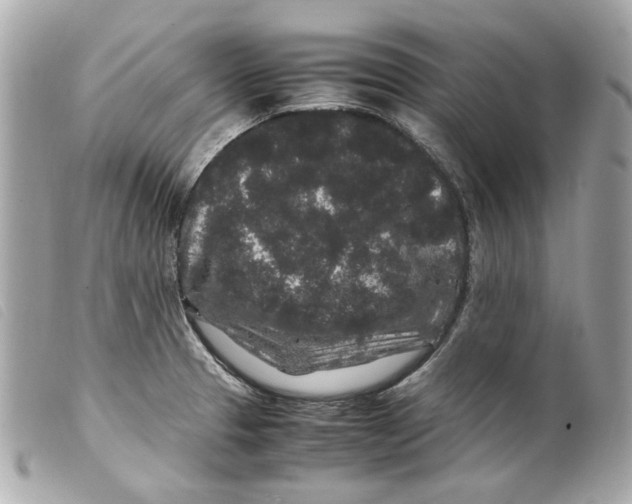 X0000099311329200805301146