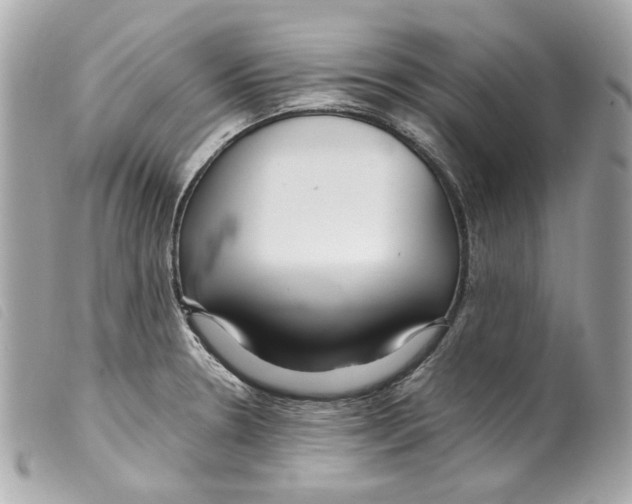 X0000099311330200805301146