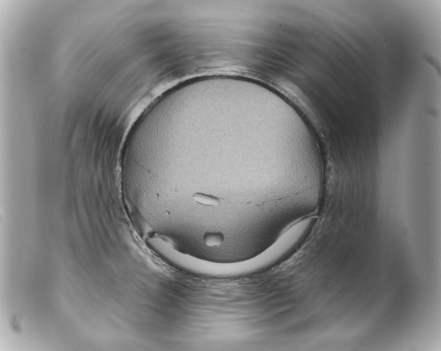 X0000099311332200805301146