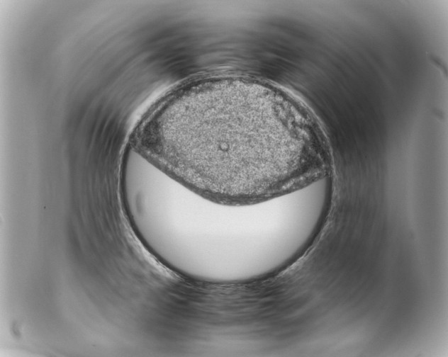 X0000099311333200805301146