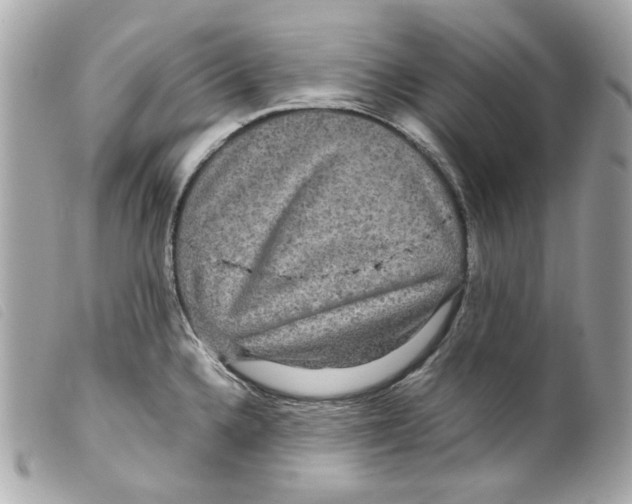 X0000099311336200805301146