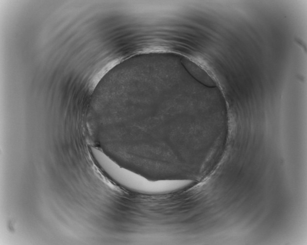 X0000099311337200805301146