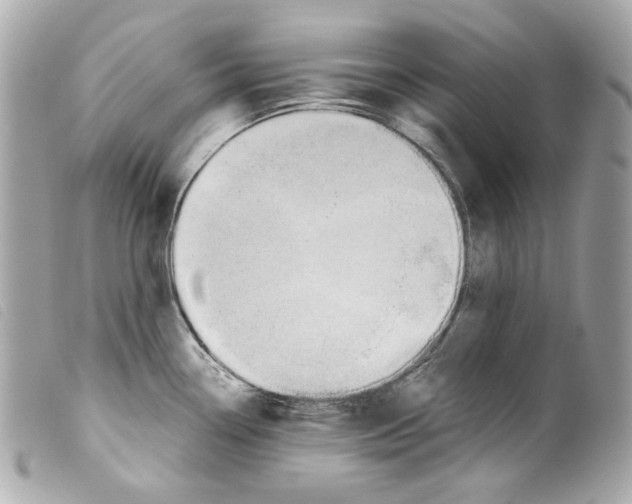 X0000099311338200805301146