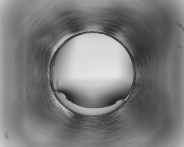 X0000099311339200805301146