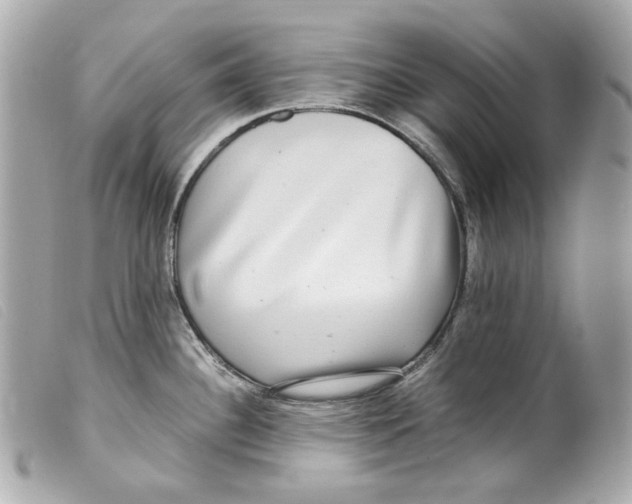 X0000099311340200805301146