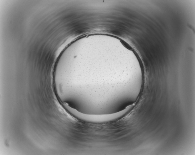 X0000099311341200805301146