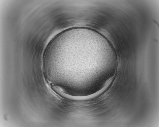 X0000099311342200805301146