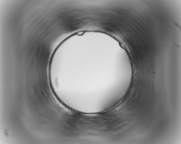 X0000099311343200805301146