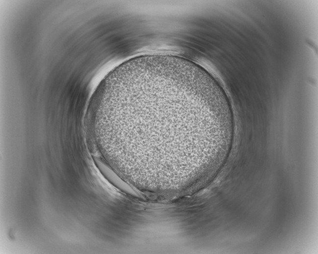 X0000099311344200805301146