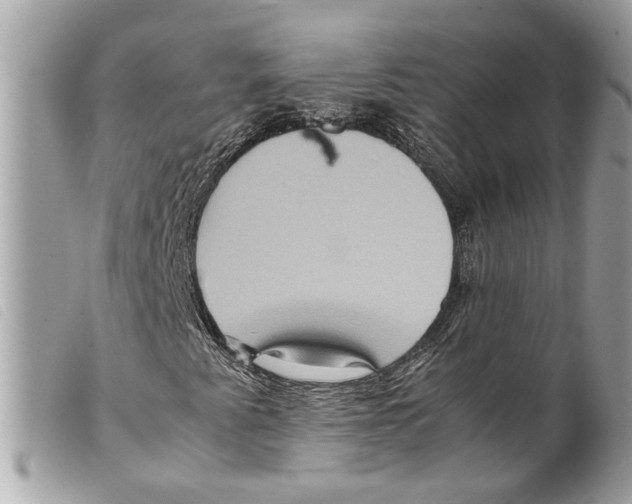 X0000099311345200805301145