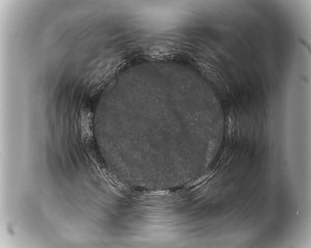 X0000099311346200805301145