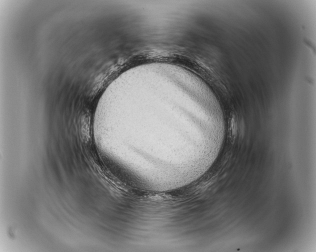 X0000099311348200805301145