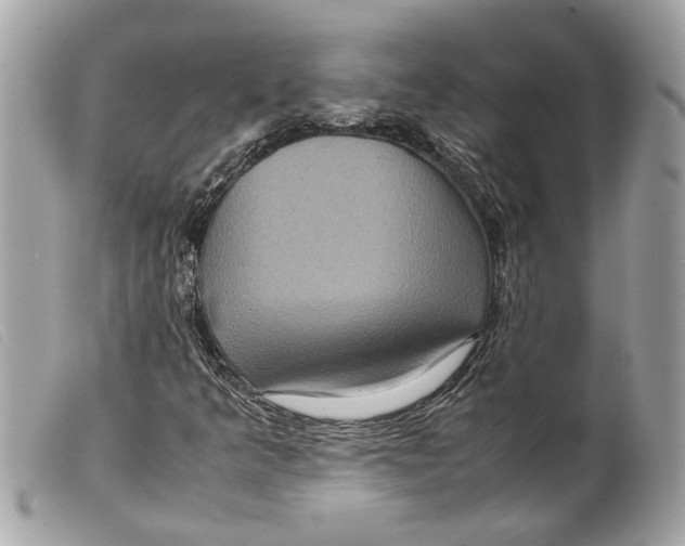 X0000099311349200805301145