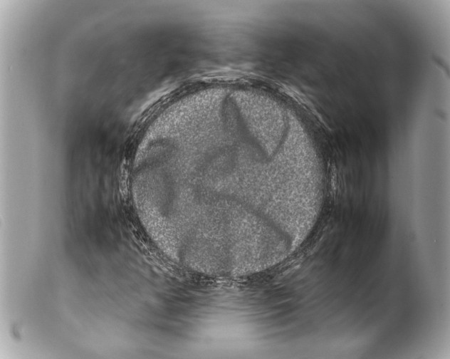 X0000099311350200805301145