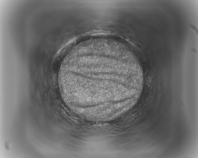 X0000099311351200805301145