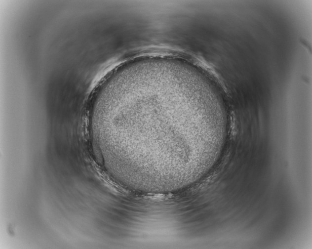 X0000099311352200805301145