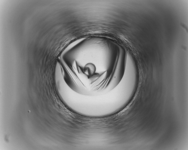 X0000099311353200805301145