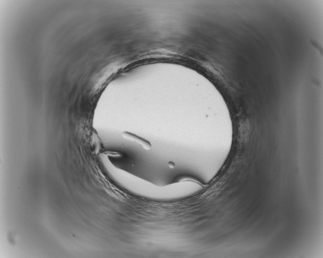 X0000099311355200805301145