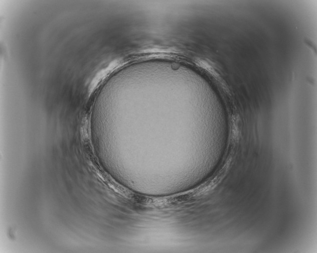 X0000099311357200805301145