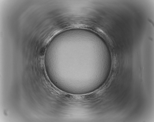 X0000099311361200805301145