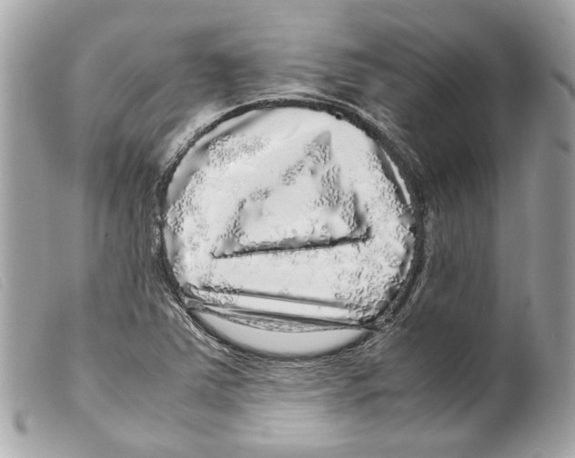 X0000099311363200805301145